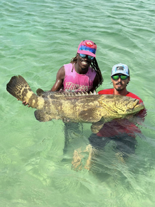 Grouper battles in the heart of Pensacola.